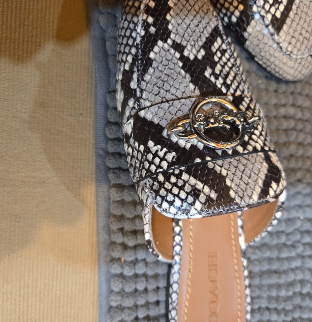 COACH Black & White Snake-Print Scotty PTE SLIDE - Picture 2 of 6